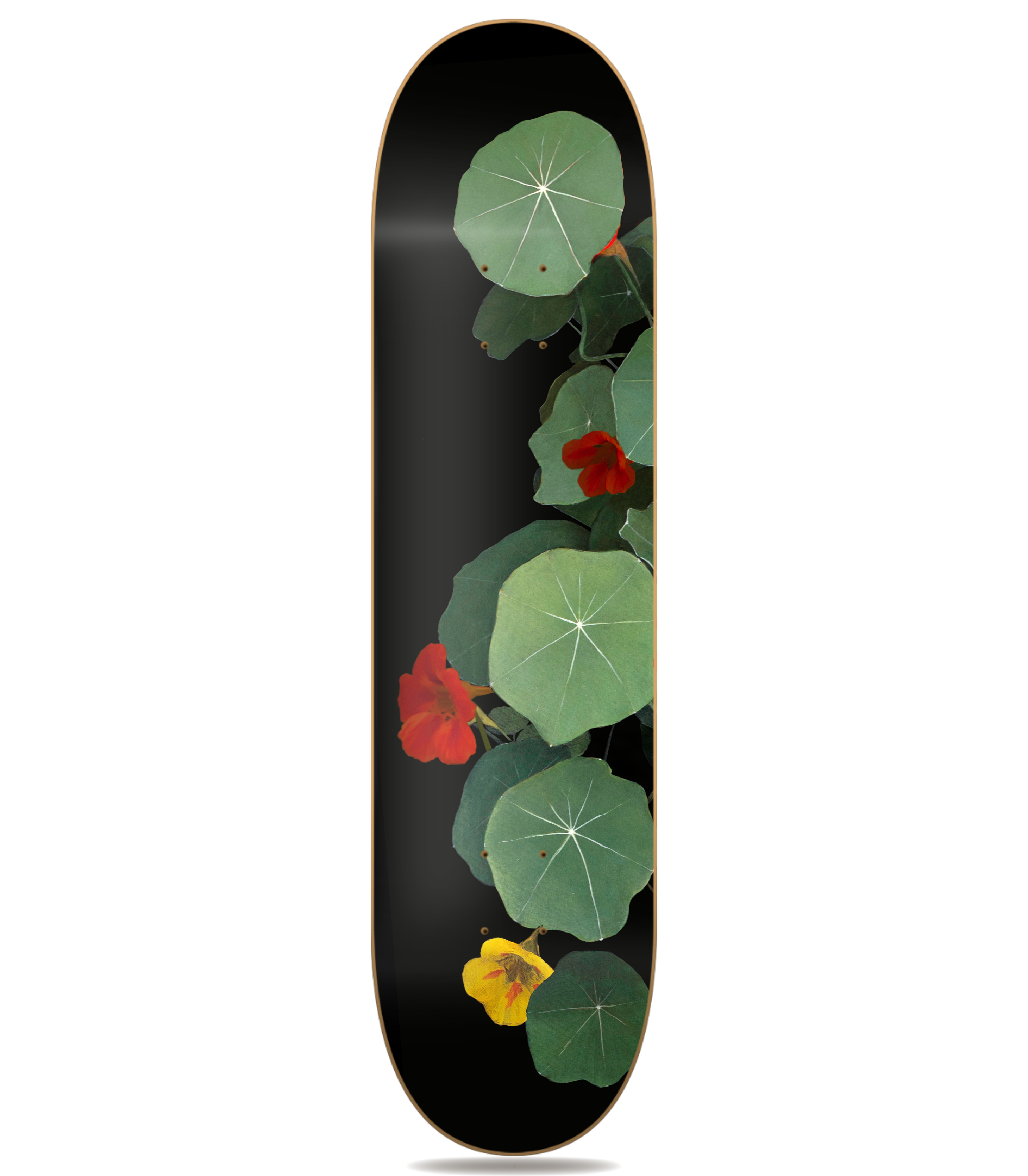 Variación Capuchinas IVa - Denise Buckel - obra de Denise Buckel en skate decorativo vista 2
