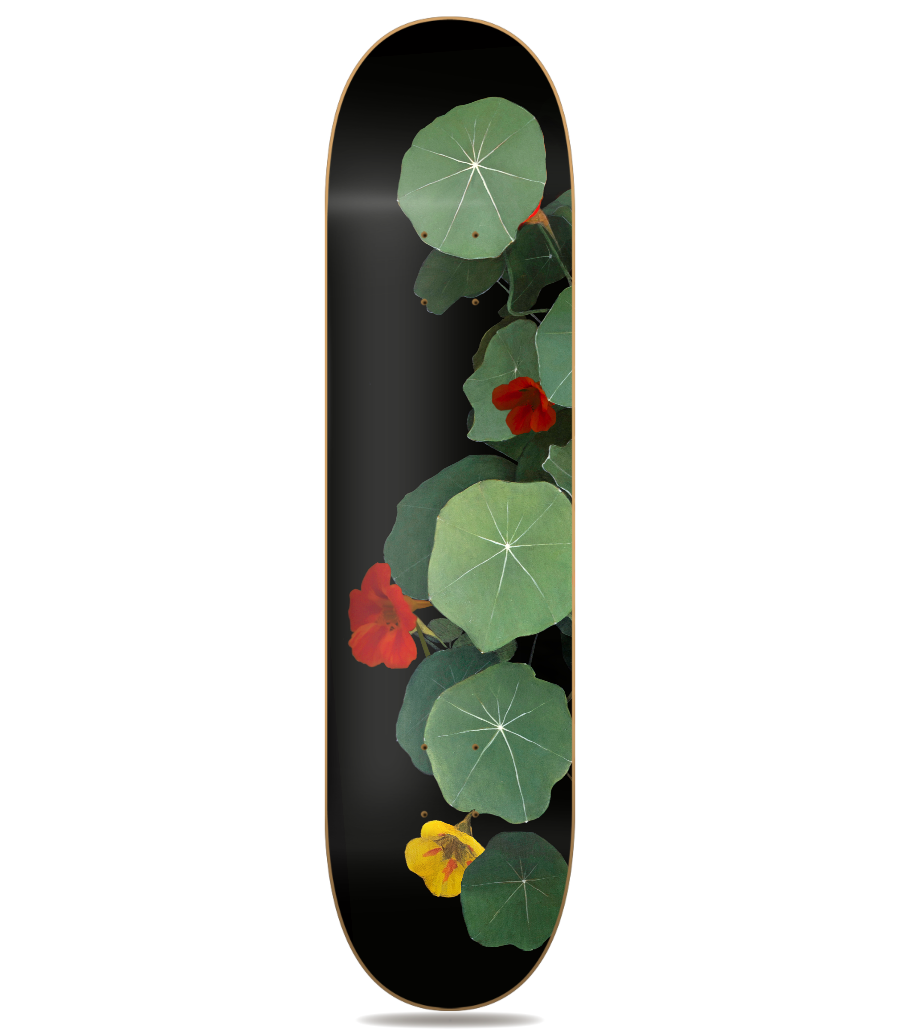 Variación Capuchinas IVa - Denise Buckel - obra de Denise Buckel en skate decorativo vista 2