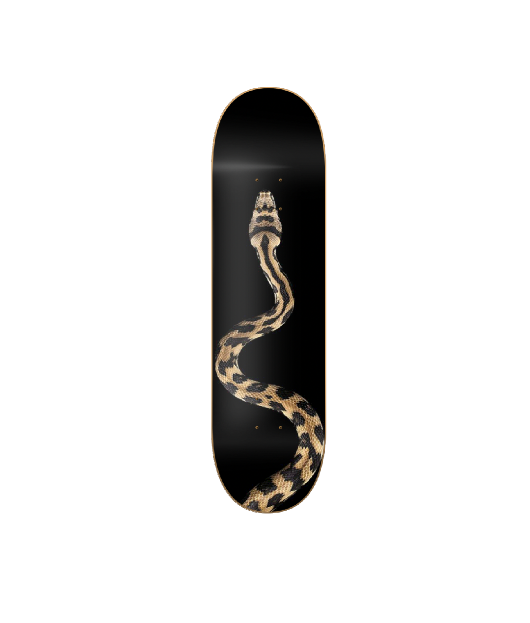 Snake_1080x1080_4ad2f1a6-9c5e-4498-8b37-60f963631654.png